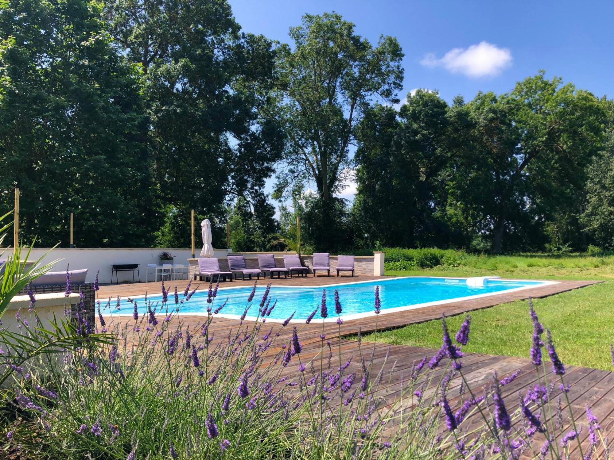 Château De La Coutère Saint-Laurent  Extérieur photo
